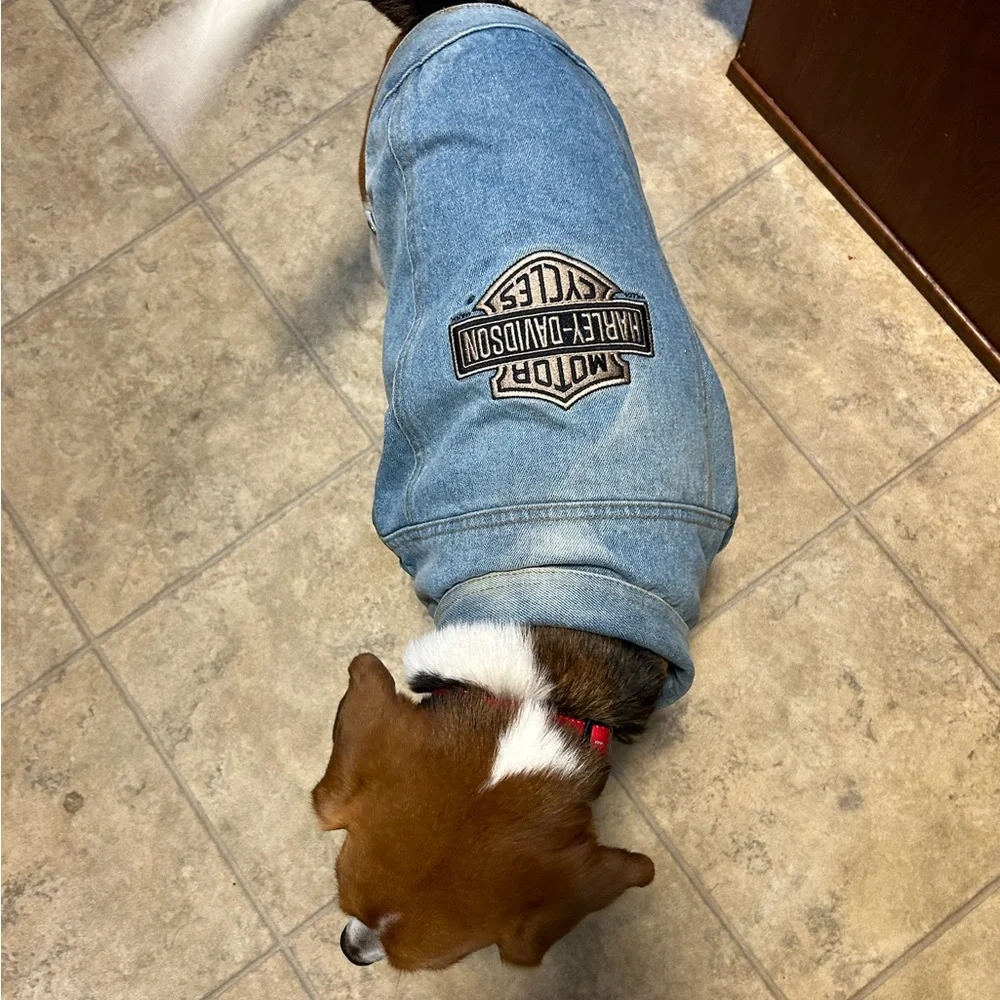 HARLEY DAVIDSON ~ dog denim jacket/vest size Medium** - Picture 3 of 8